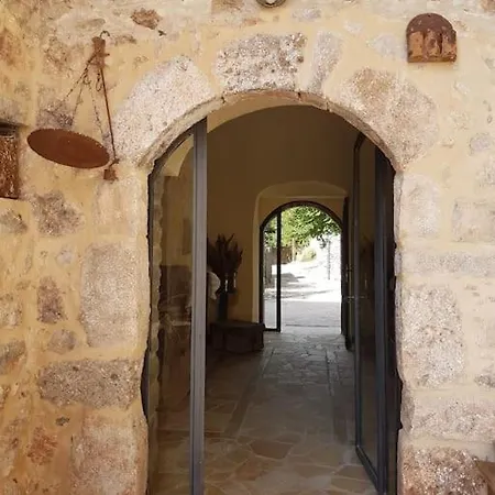 Vincenzo's In A Tower/ Brown Leonídion